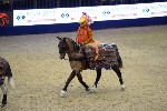 Quadrille - 00053